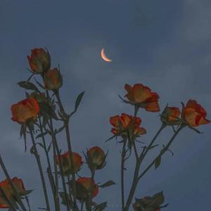 操操操操操操操操操操操
